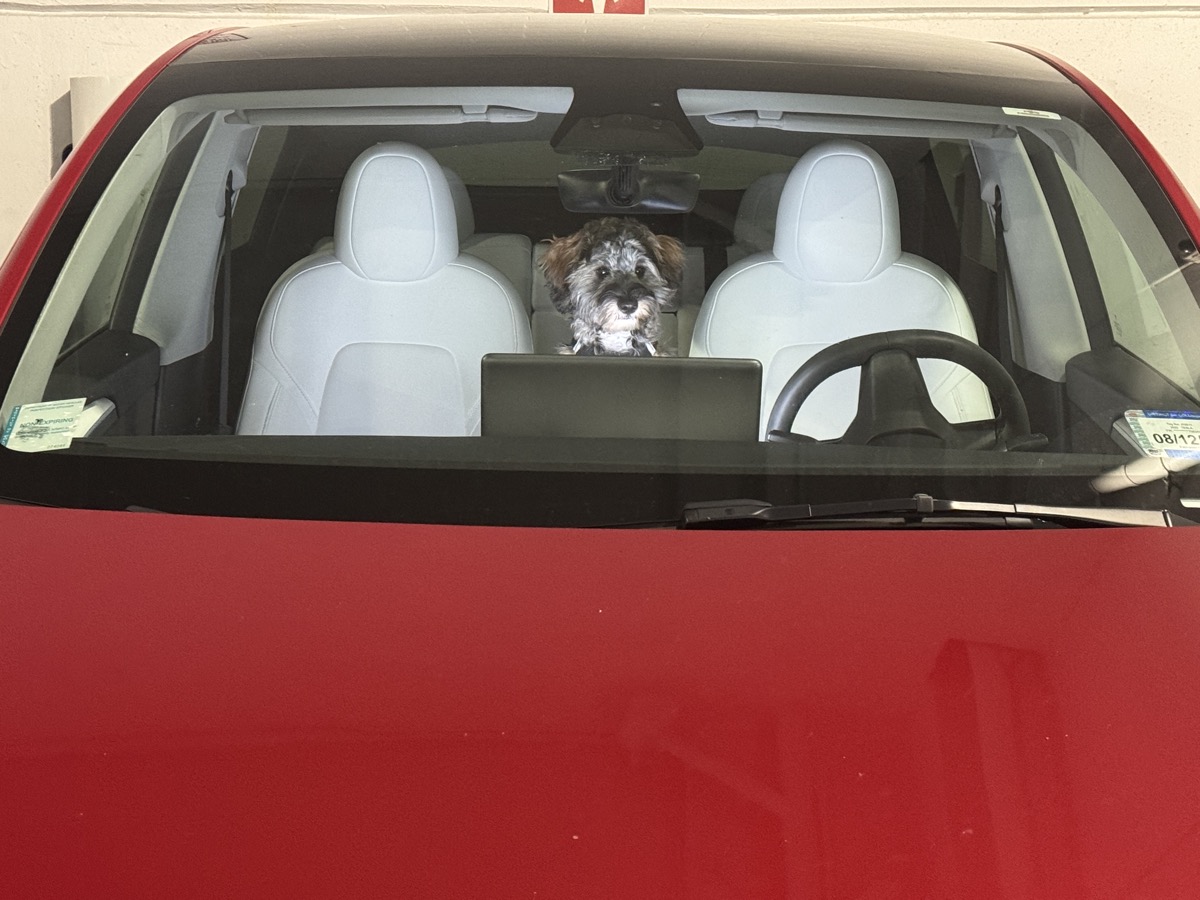 Bibi peering over the back seat of a red car, framed between the two front headrests